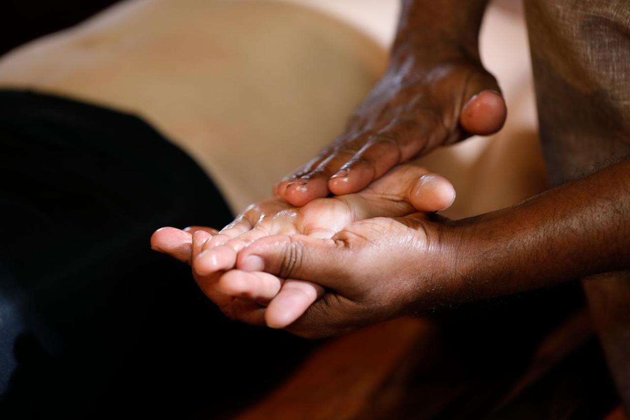Sanjeevini Life Care Village - A Science Based Non - Invasive Holistic Wellness Destination Kochi Buitenkant foto