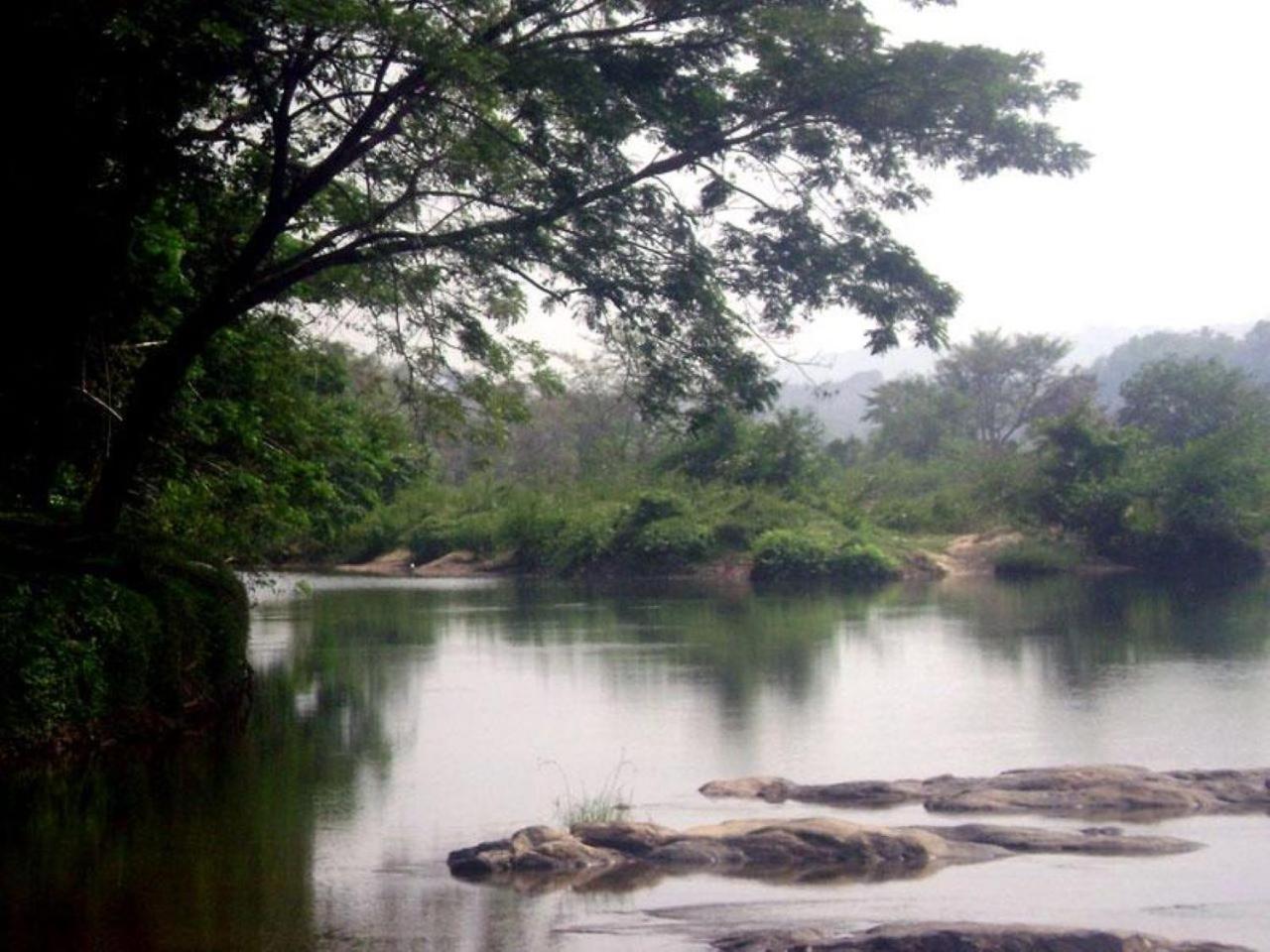 Sanjeevini Life Care Village - A Science Based Non - Invasive Holistic Wellness Destination Kochi Buitenkant foto